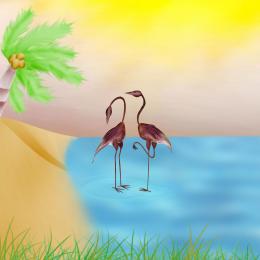 Flamingo Island